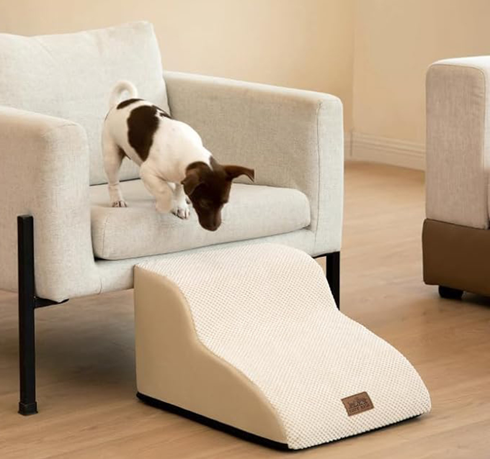 A Safer, Smarter Pet  Stair